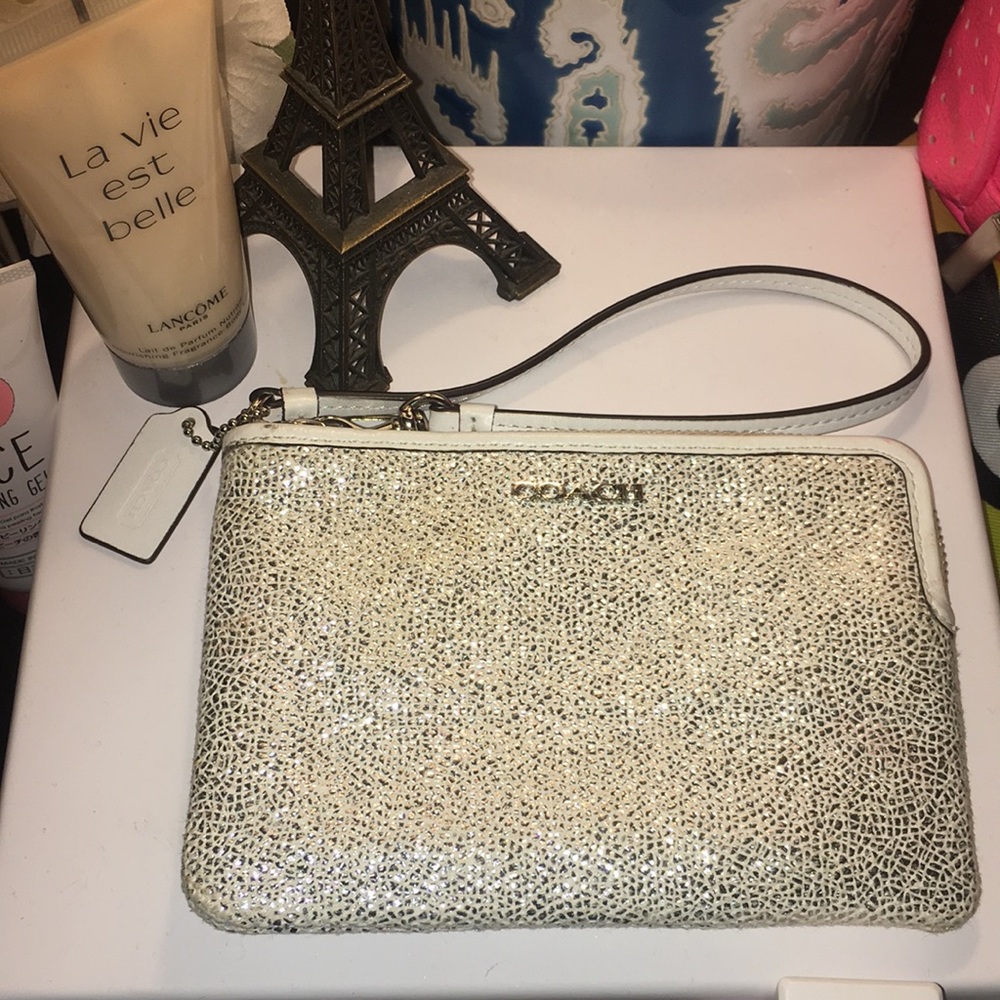 🌼✨Coach Mini Pouch✨💕